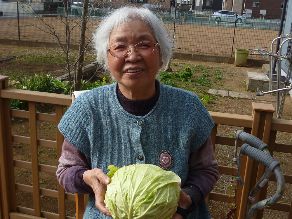 とれたて野菜を美味しいお食事に