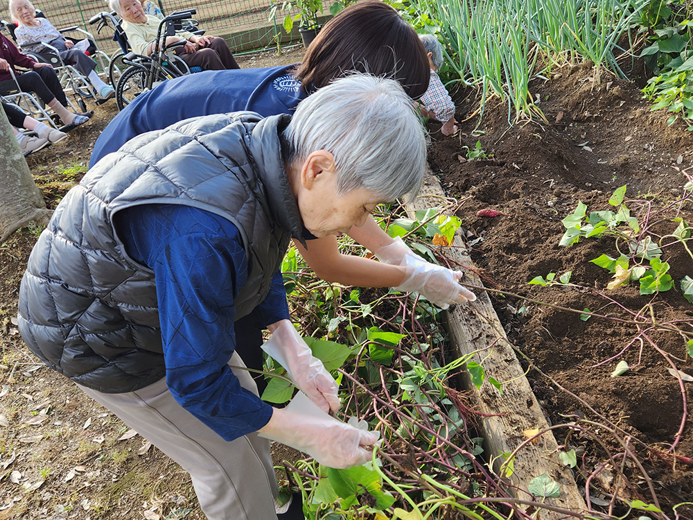 皆様で育てた野菜が採れました。食事のメニューが楽しみです。