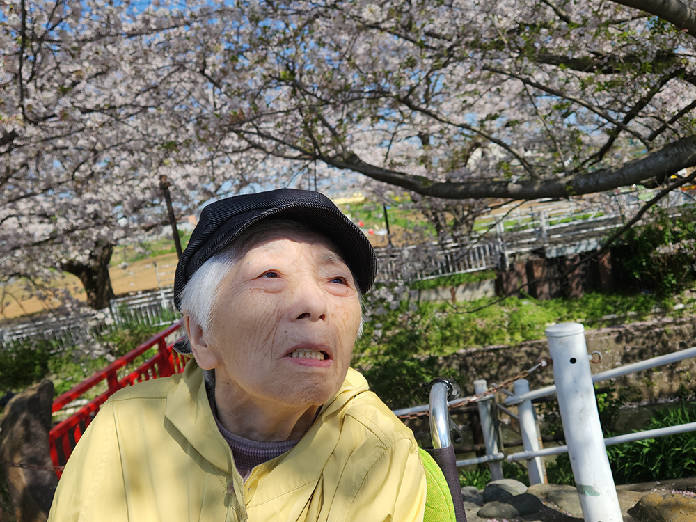 お花見にいきました